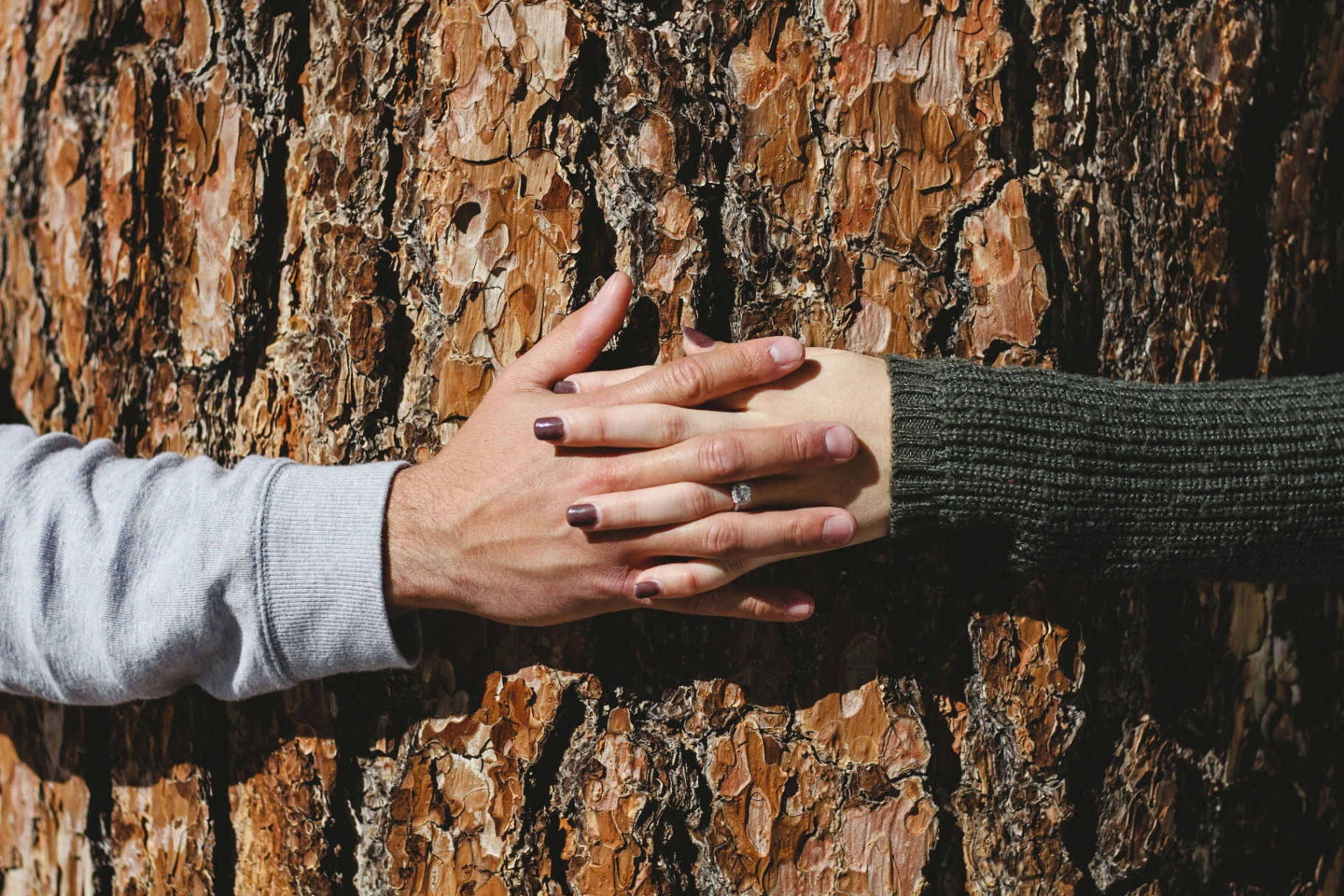 couples holding hands encircling a tree, Katheryn Barton Uplift and Connect Counseling nature therapy forest bathing for couples